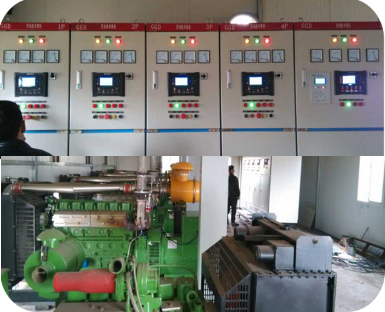 Biogas Multi Genset-Grid Parallel Application